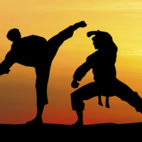 Sports de combat